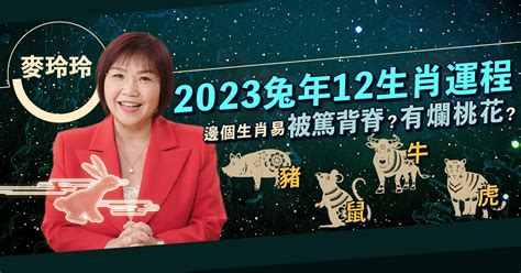 2023麥玲玲|麥玲玲2023風水佈局｜正東方病位須化解！如個催旺 